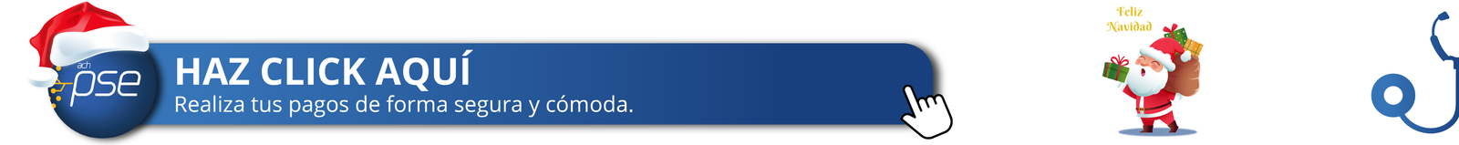 PAGOS PSE NAVIDEÑO